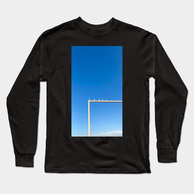 Seagulls sit on a pipe Long Sleeve T-Shirt by taya-stdnk